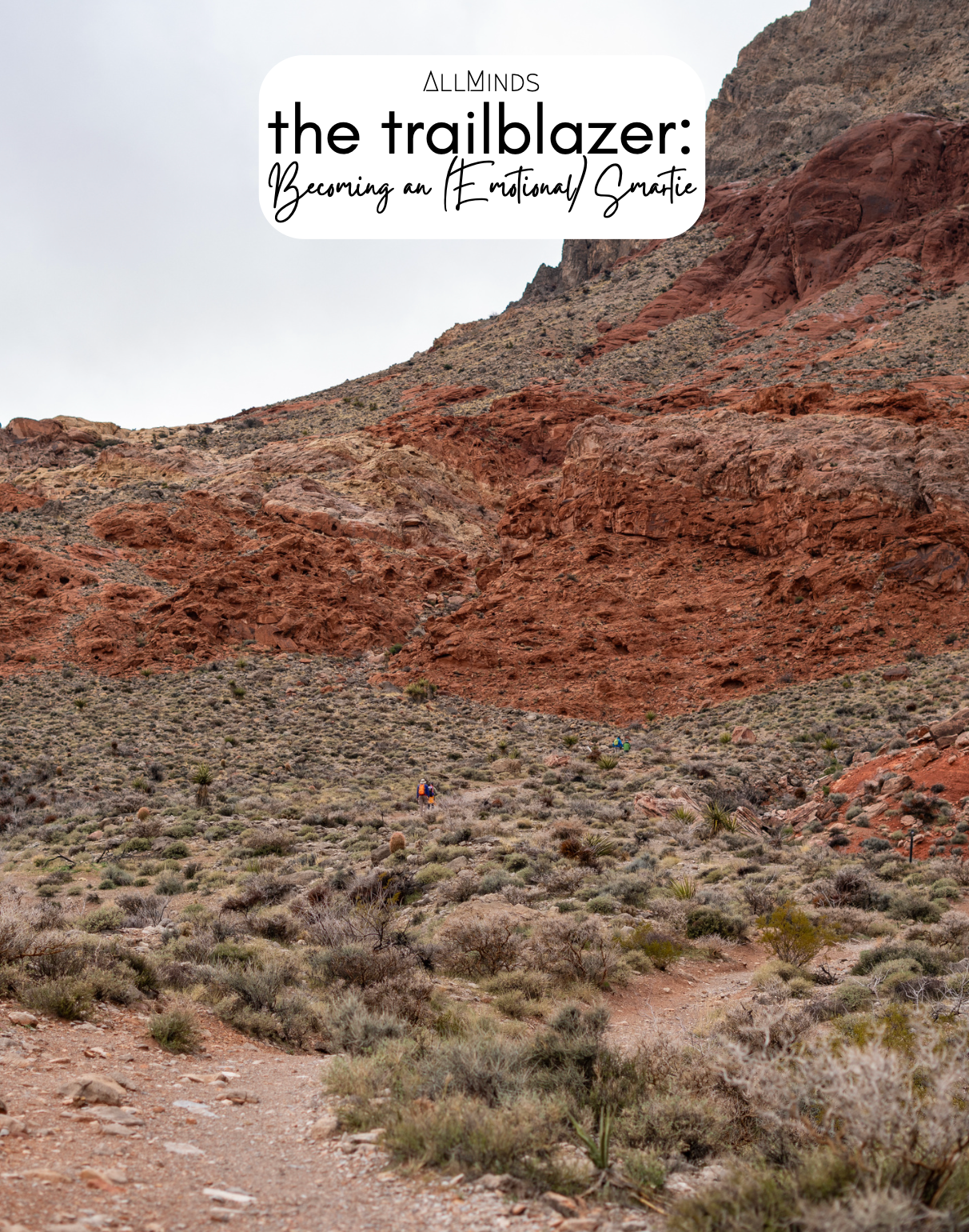 The Trailblazer Series - Book 3 - Becoming an (Emotional) Smartie