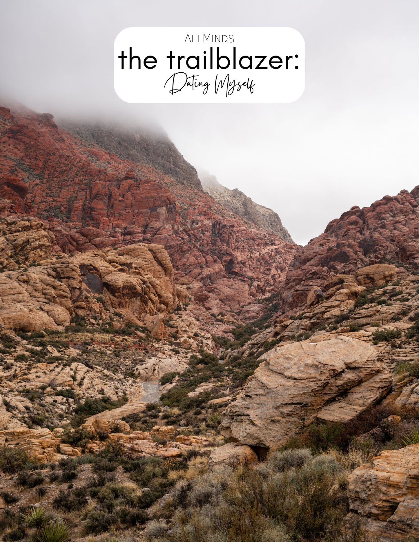 The Trailblazer Series - Book 10 - Dating Myself