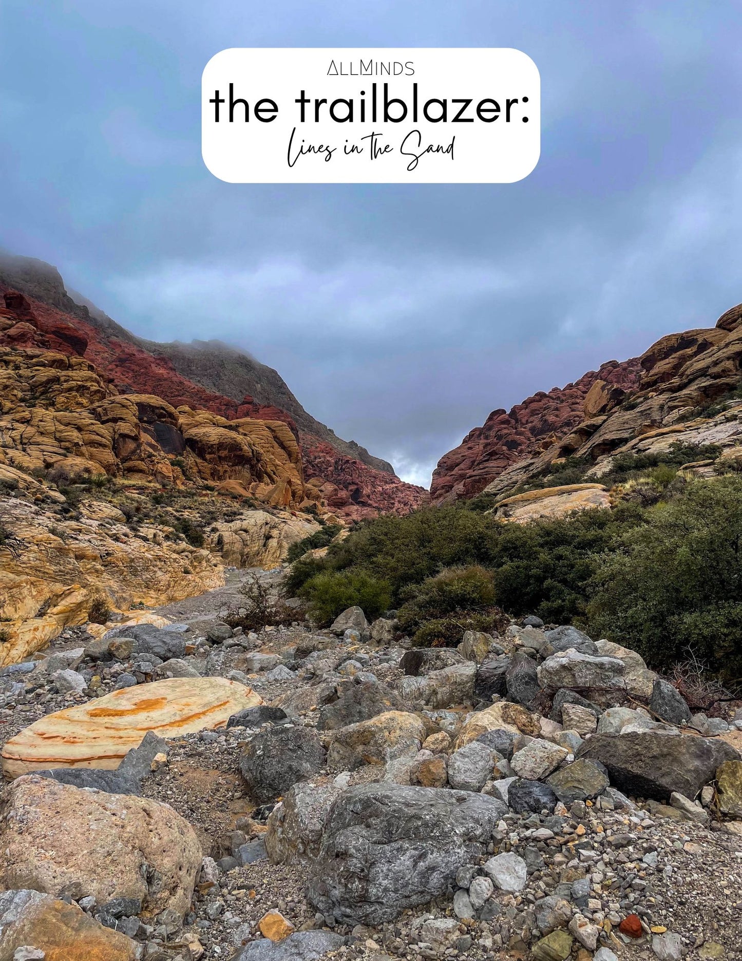 The Trailblazer Series - Book 11 - Lines in the Sand