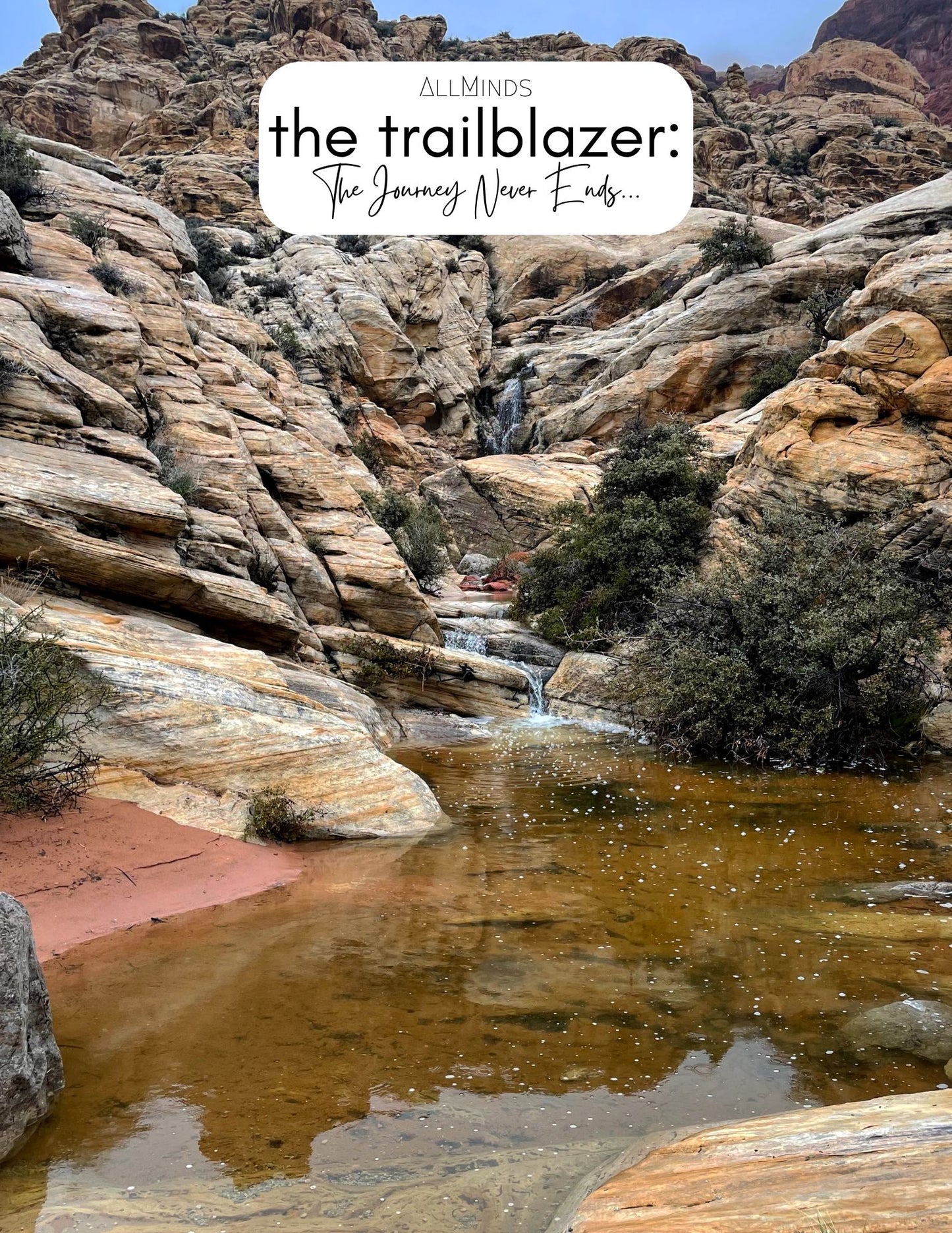 The Trailblazer Series - Book 12 - The Journey Never Ends...