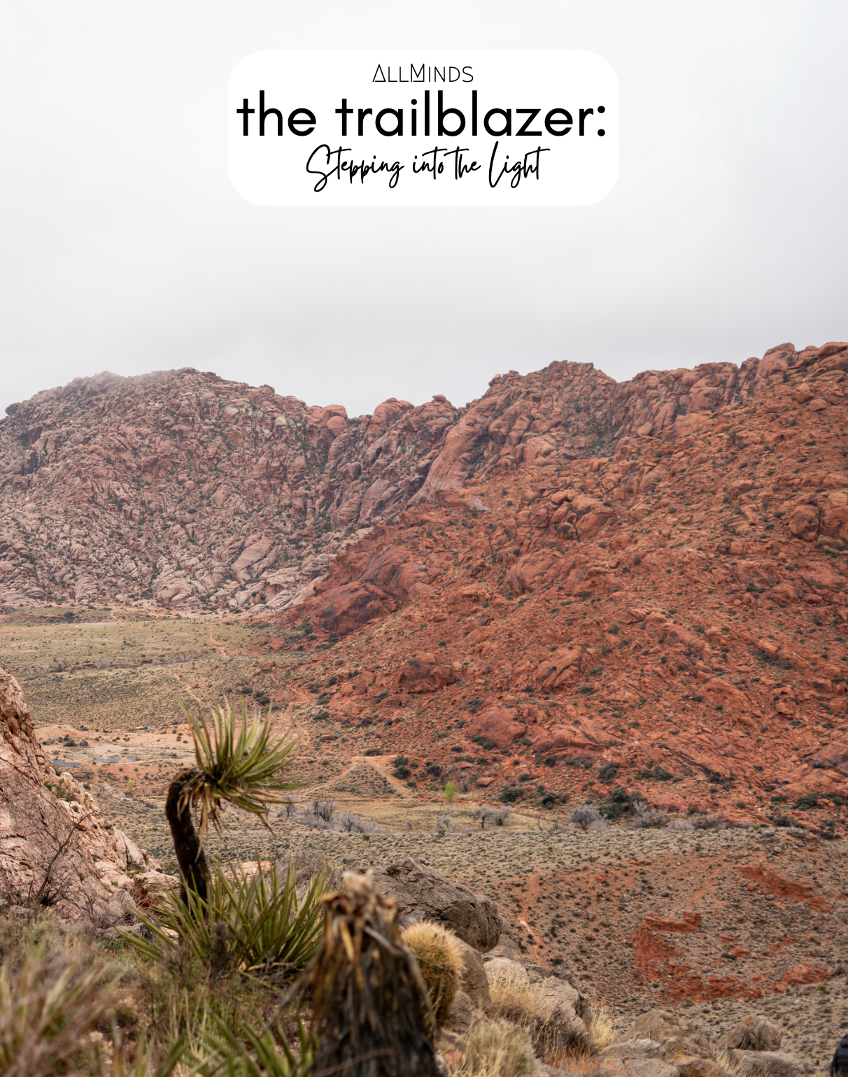 The Trailblazer Series - Book 4 - Stepping Into the Light