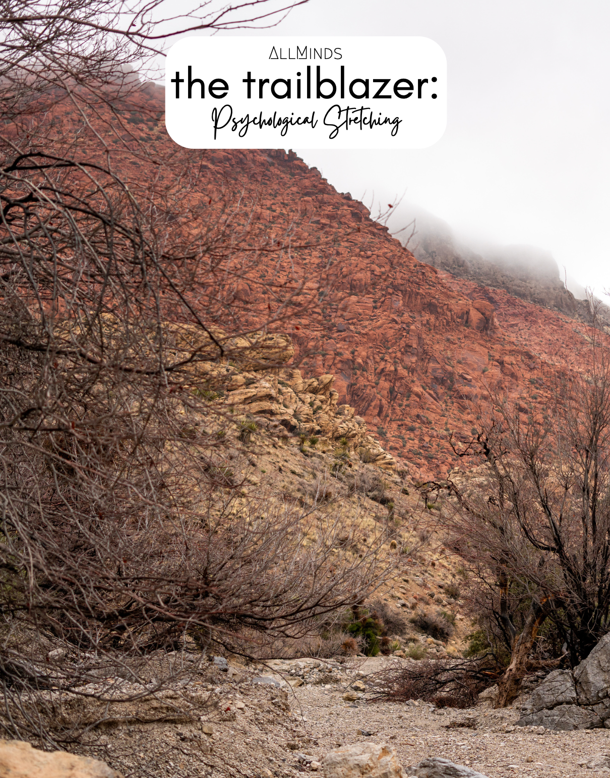The Trailblazer Series - Book 5 - Psychological Stretching