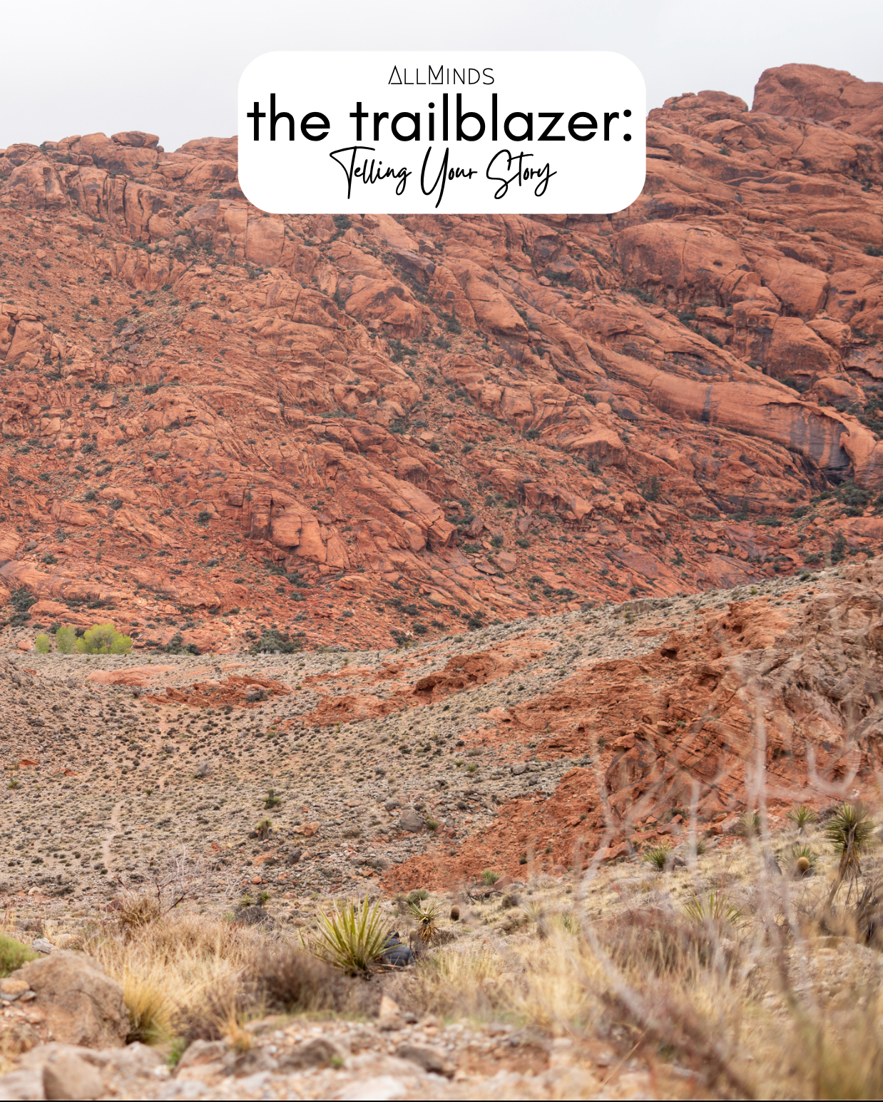 The Trailblazer Series - Book 6 - Telling Your Story