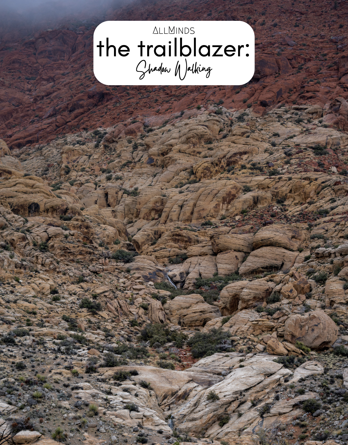 The Trailblazer Series - Book 8 - Shadow Walking
