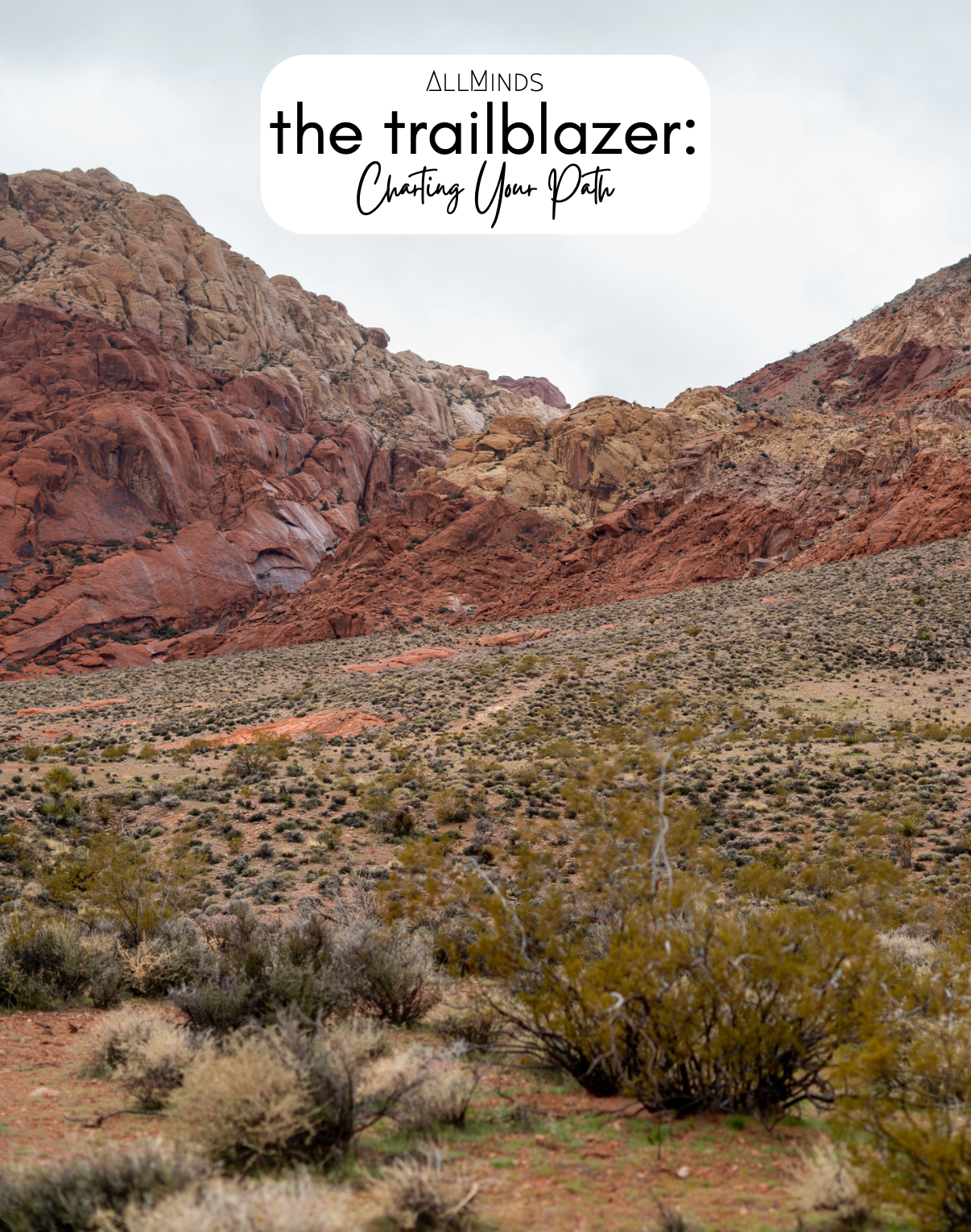 The Trailblazer Series - Book 2 - Charting Your Path