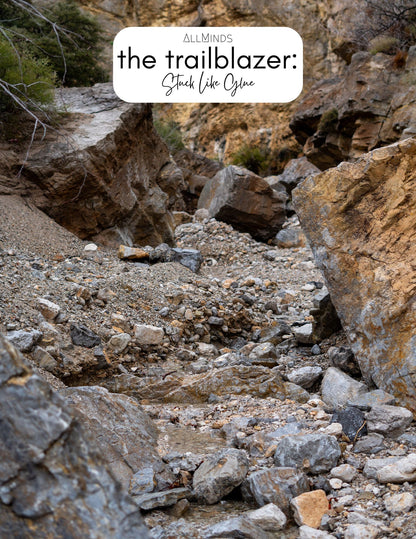 The Trailblazer Books (Single Editions)